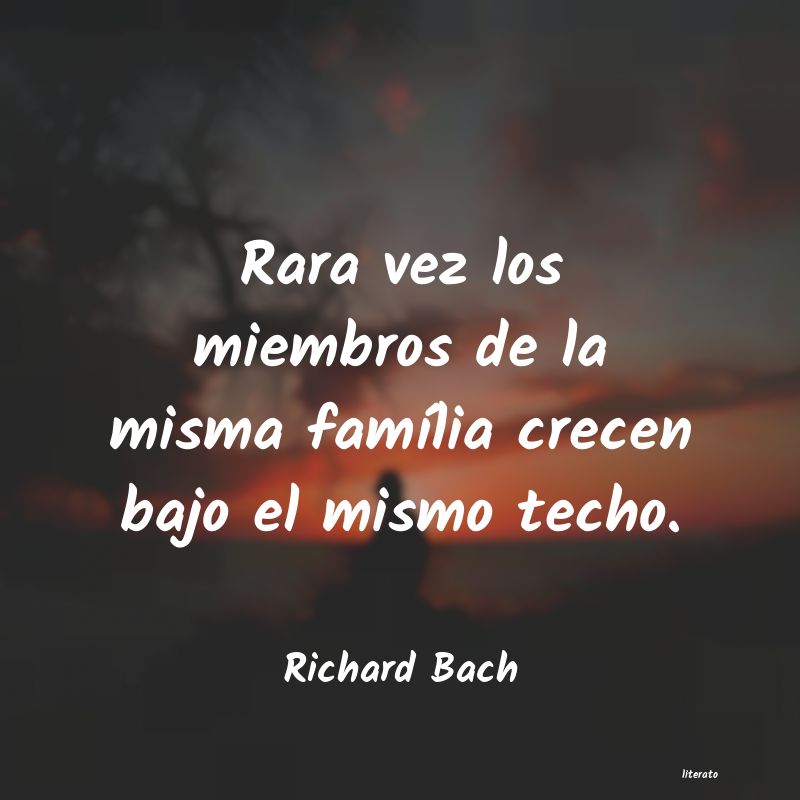 Frases de Richard Bach