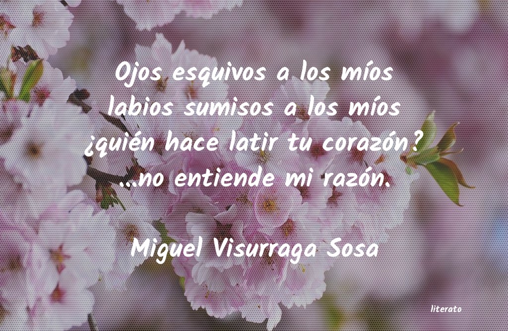 frases de Miguel Visurraga Sosa