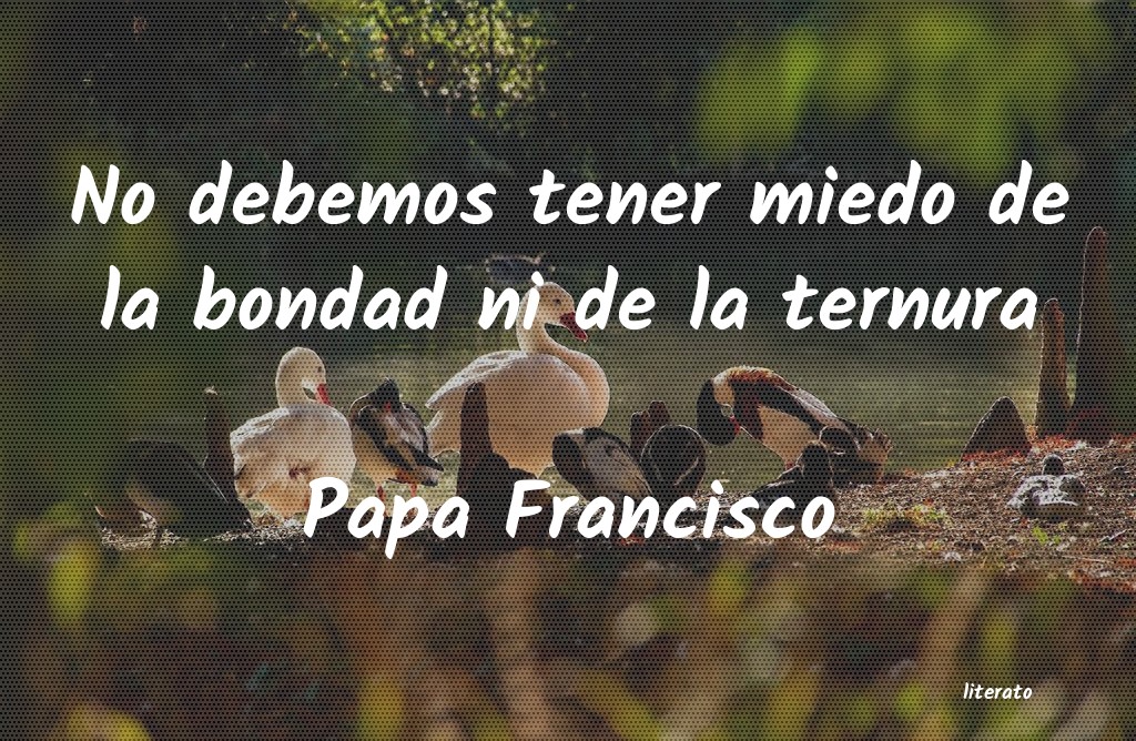 Frases de Papa Francisco