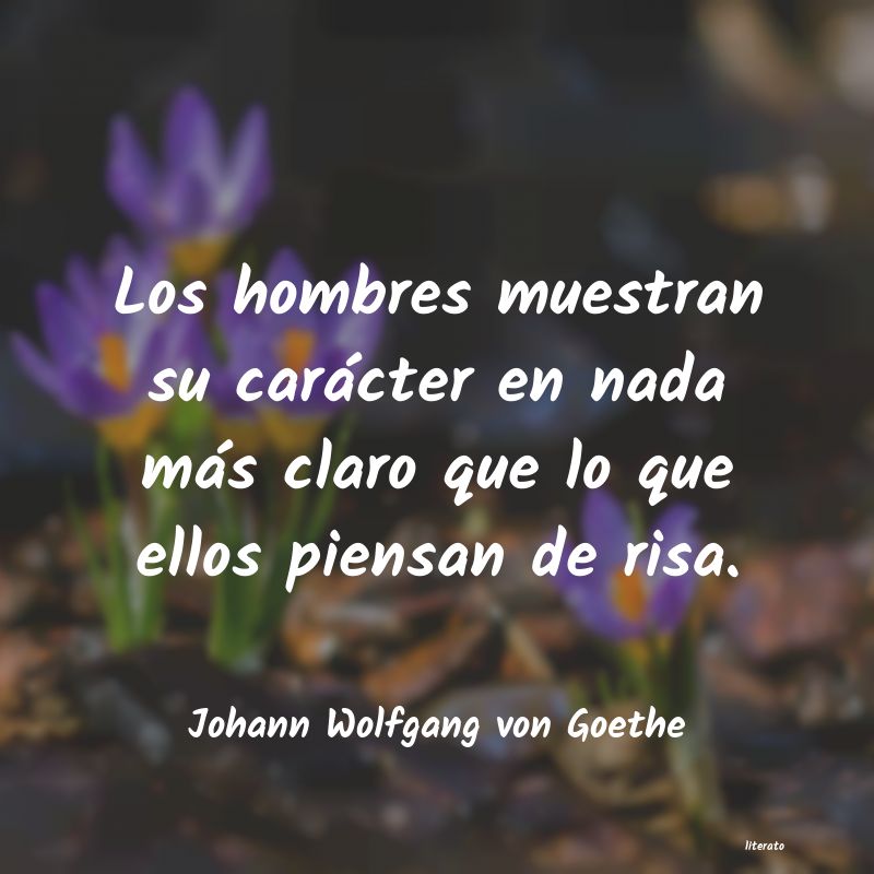 Frases de Johann Wolfgang von Goethe