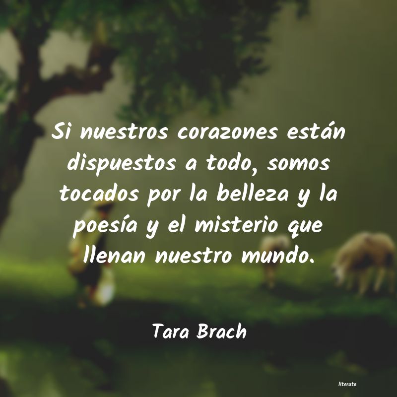 Frases de Tara Brach
