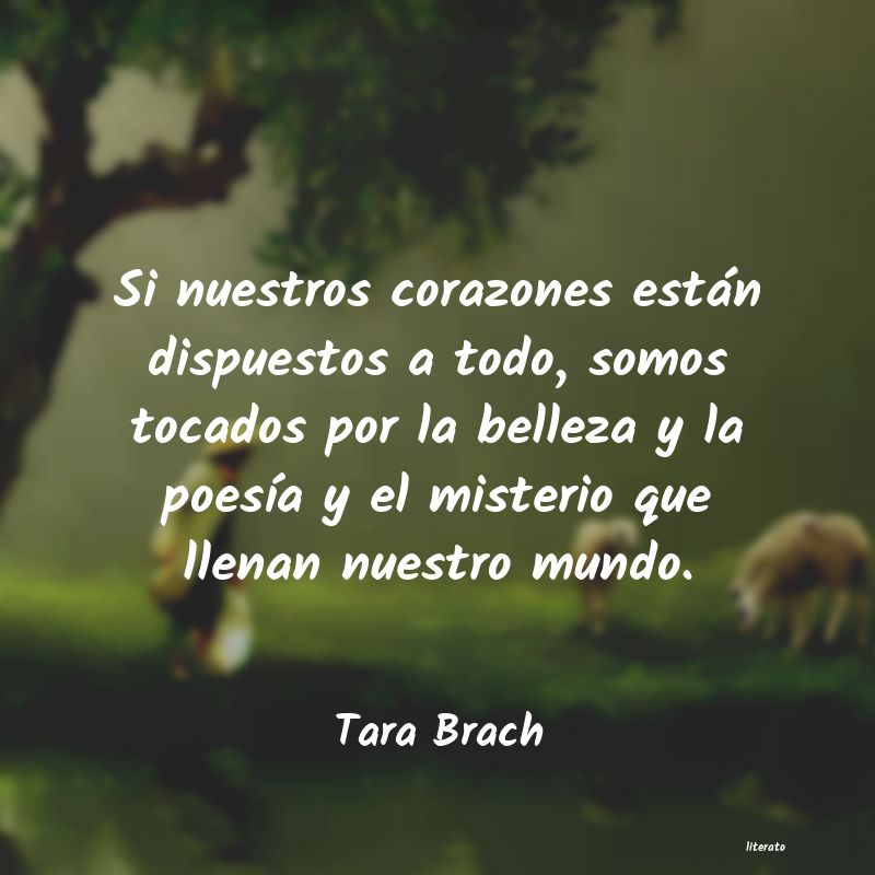 frases de Tara Brach
