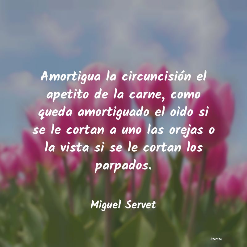 Frases de Miguel Servet