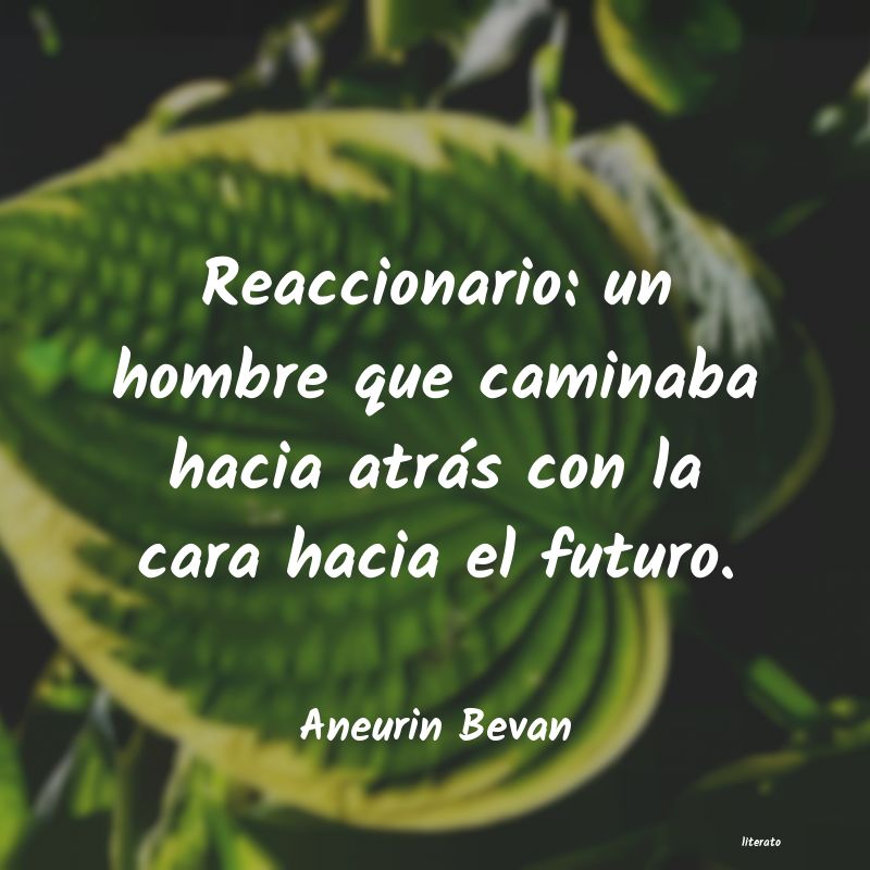 frases de Aneurin Bevan
