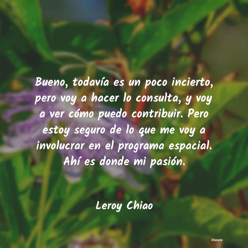 Frases de Leroy Chiao
