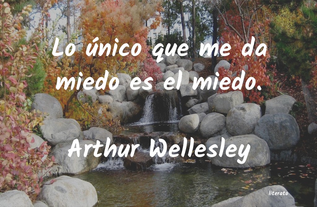 frases de Arthur Wellesley