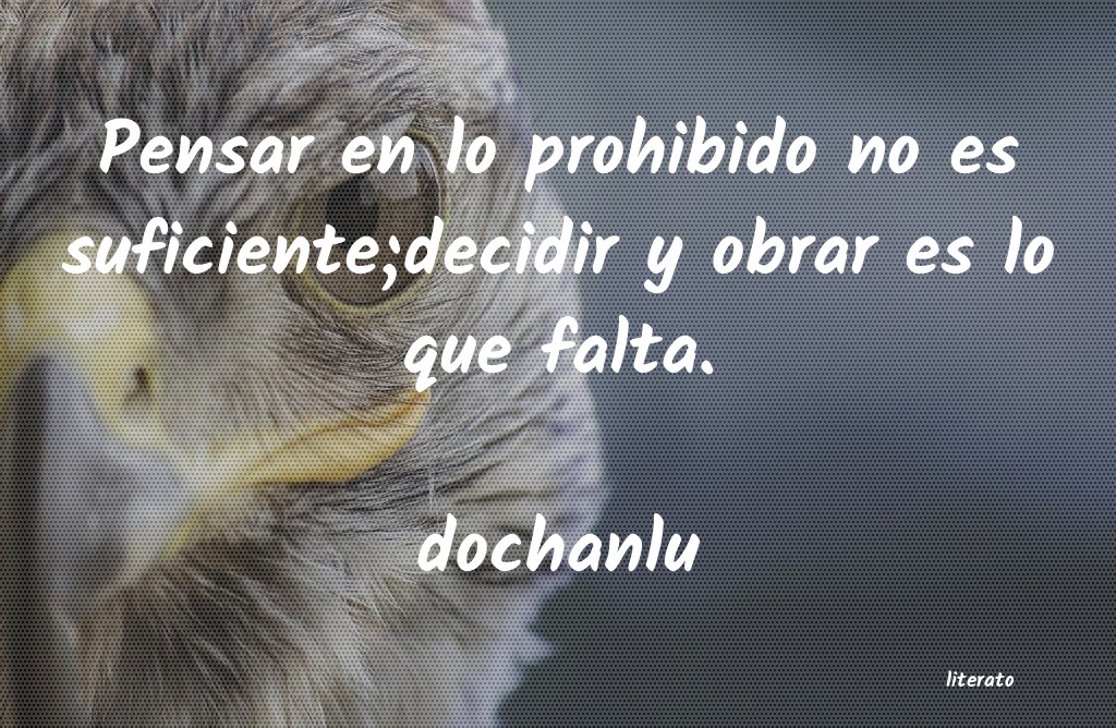 frases de dochanlu