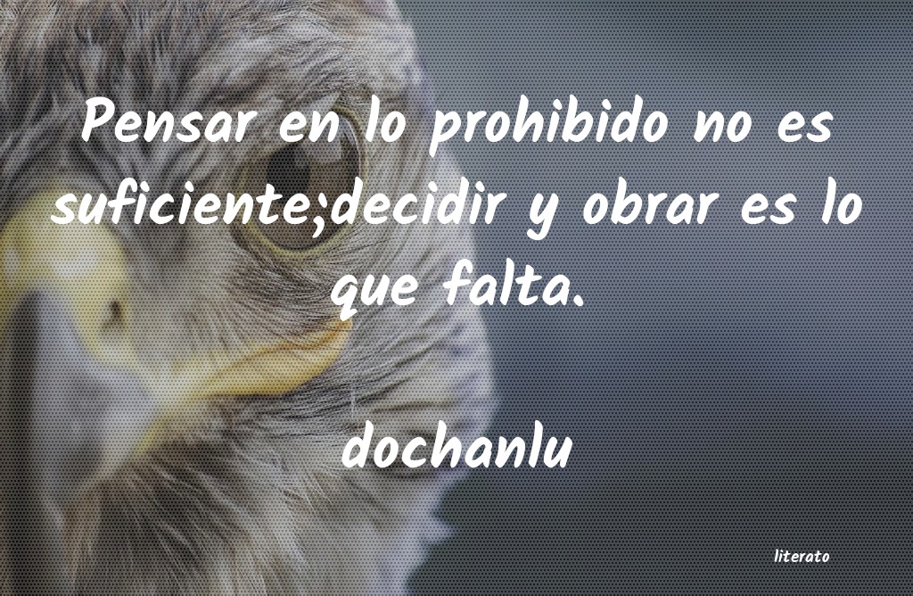 Frases de dochanlu