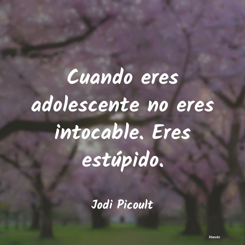 Frases de Jodi Picoult