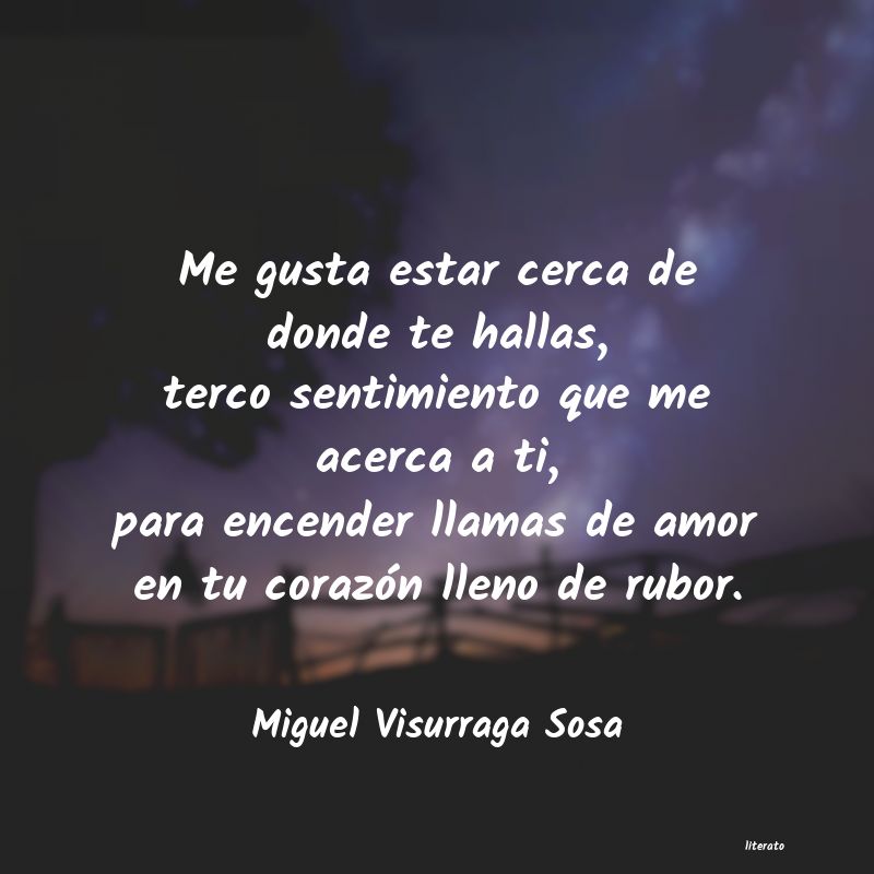 frases de Miguel Visurraga Sosa