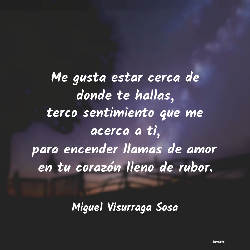 Frases de Miguel Visurraga Sosa