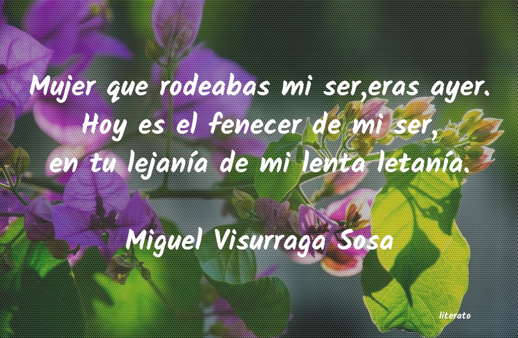 frases de Miguel Visurraga Sosa