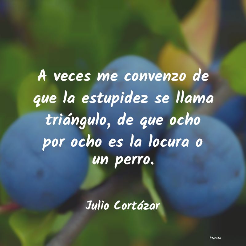 Frases de Julio Cortázar