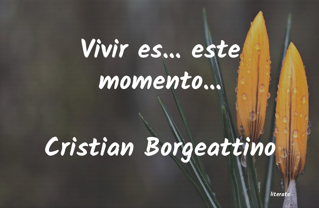 Frases de Cristian Borgeattino