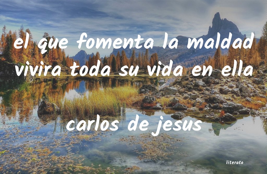 Frases de carlos de jesus