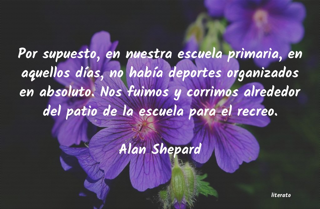 Frases de Alan Shepard