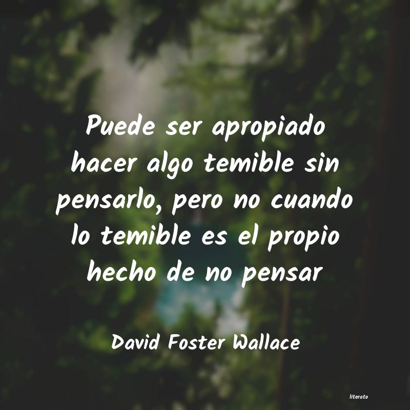 Frases de David Foster Wallace