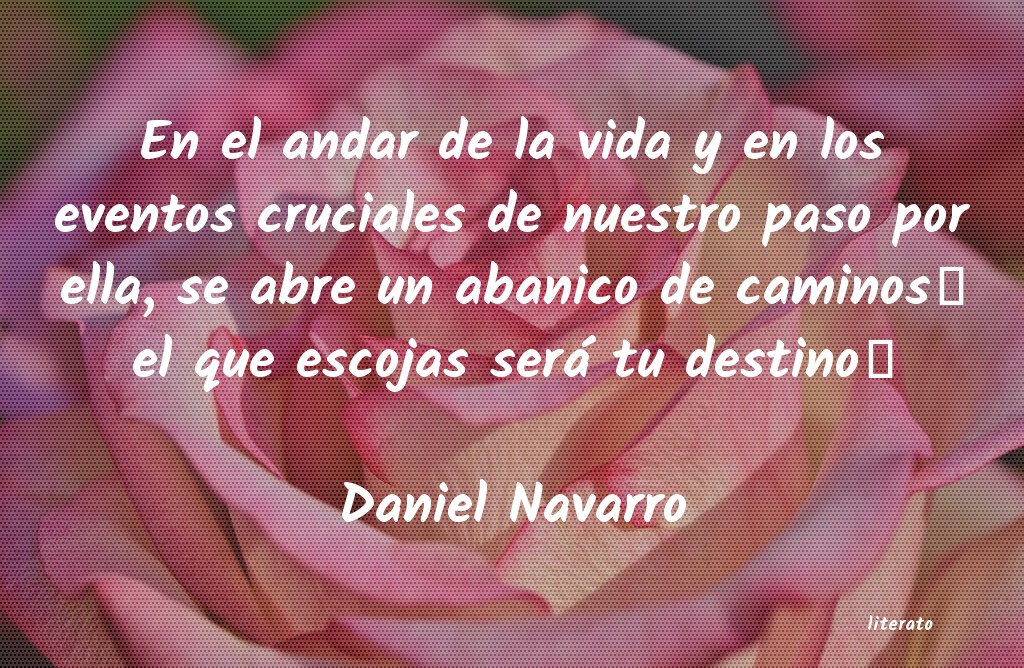 Frases de Daniel Navarro