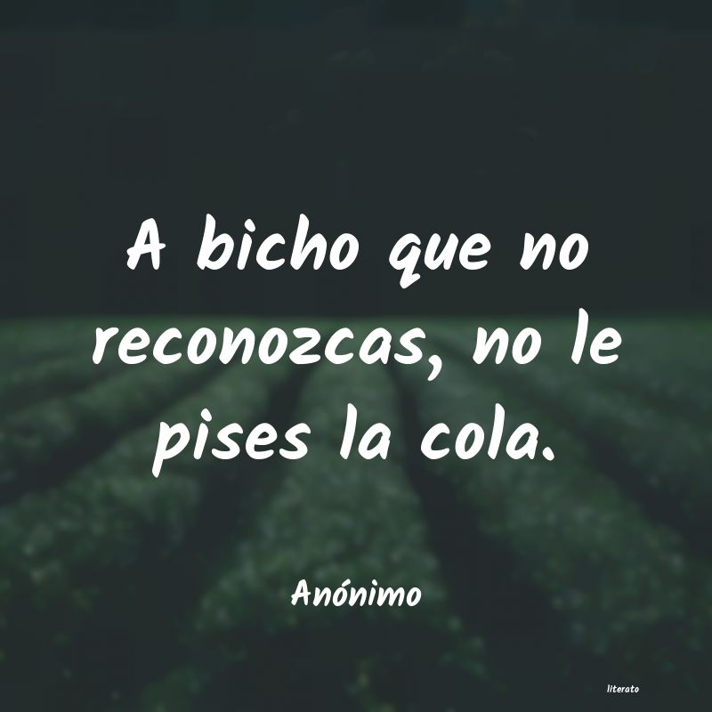 frases