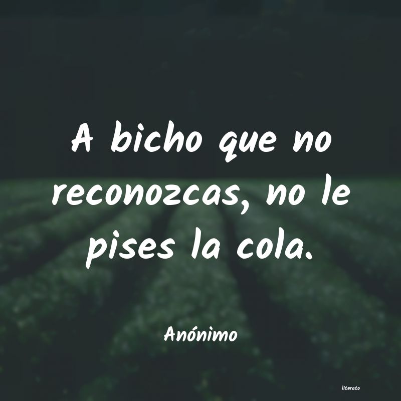 Frases de 