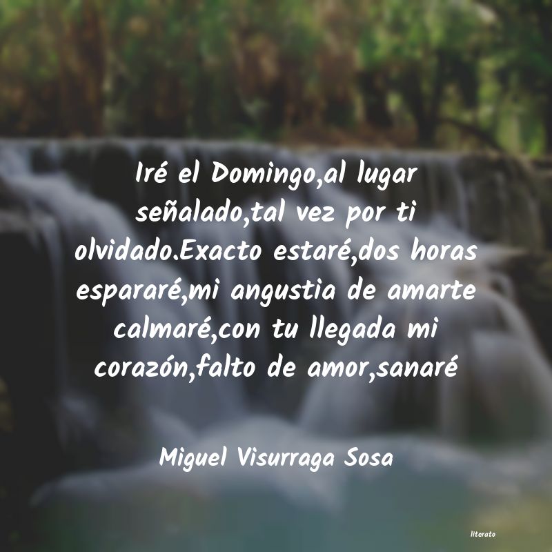 Frases de Miguel Visurraga Sosa