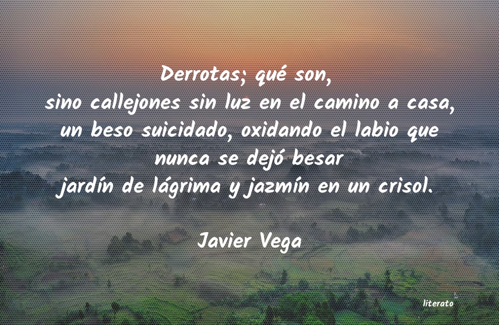 frases de Javier Vega