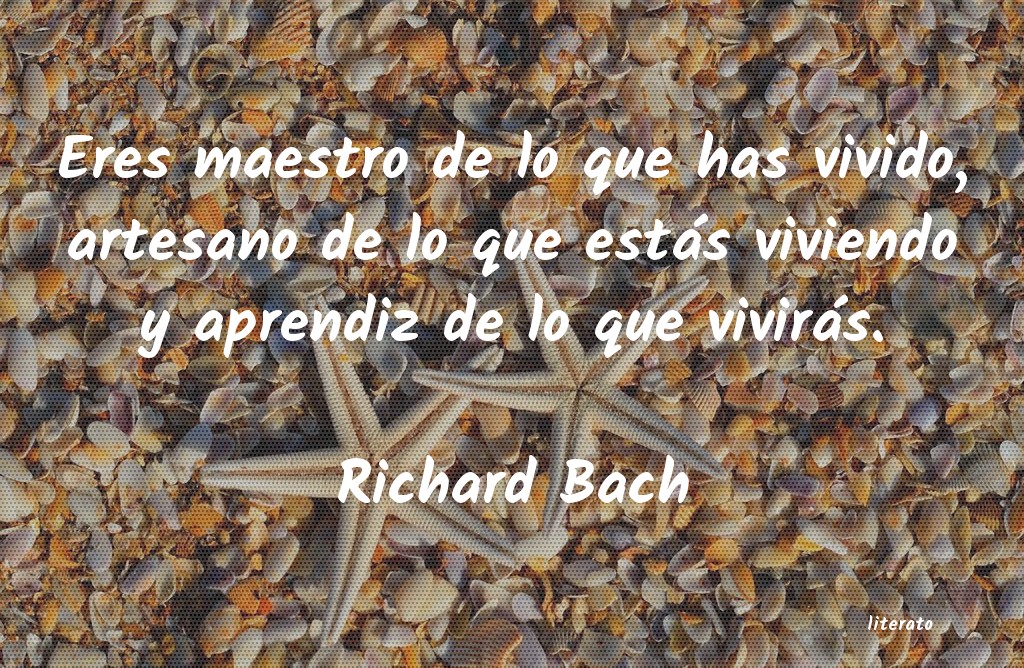 richard bach nunca te conceden un deseo