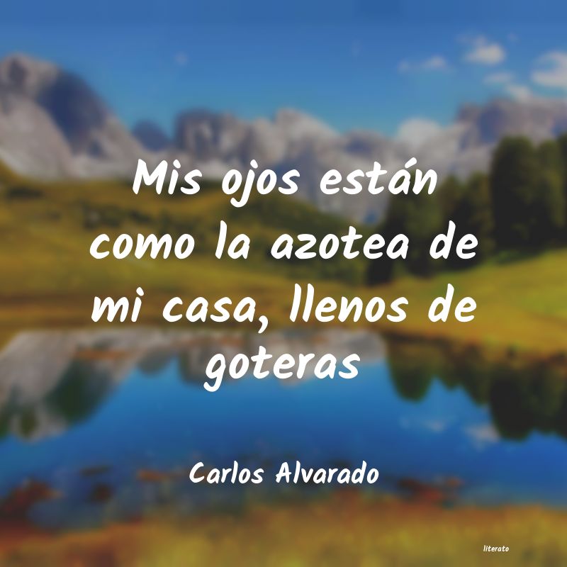 Frases de Carlos Alvarado