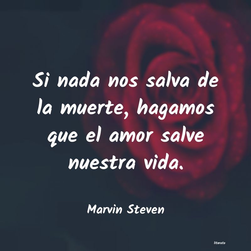 Frases de Marvin Steven
