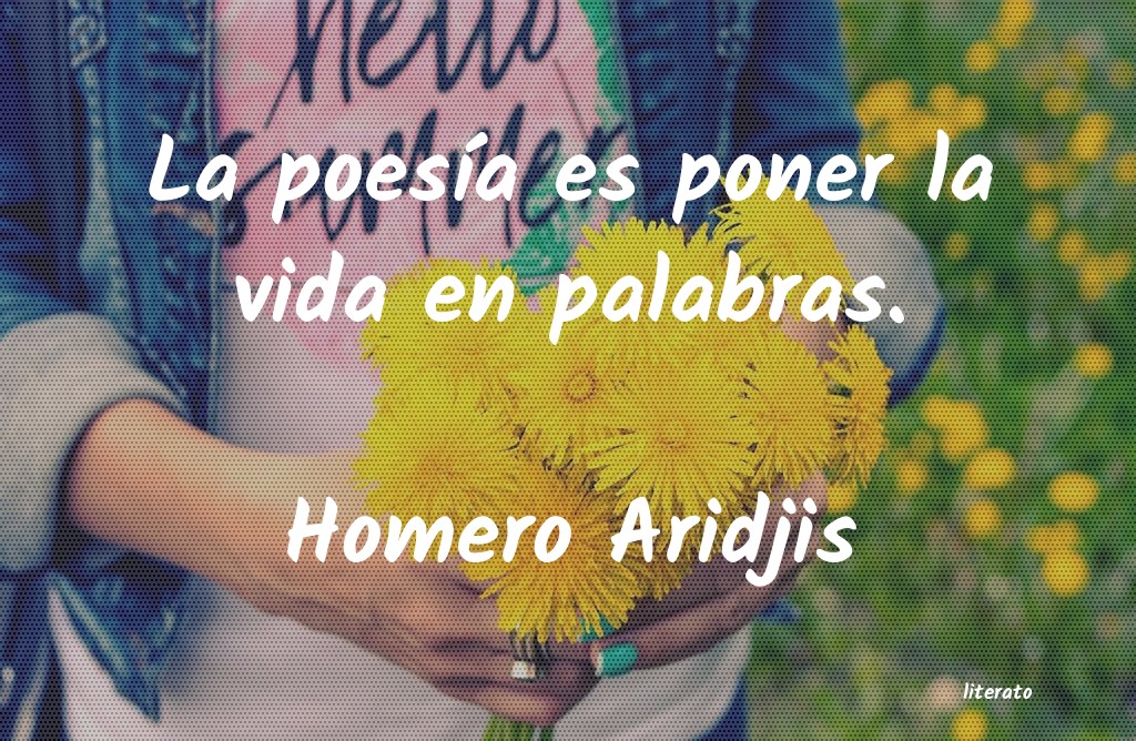 frases de Homero Aridjis
