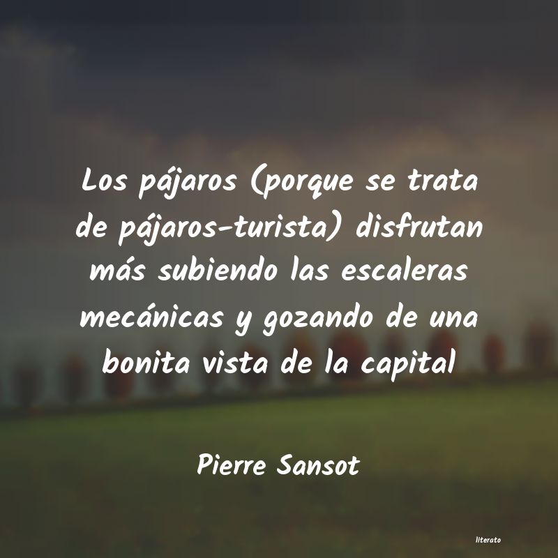 Frases de Pierre Sansot