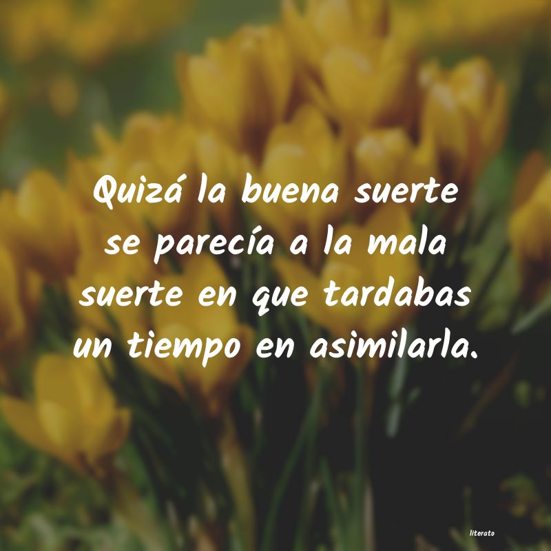 Frases de