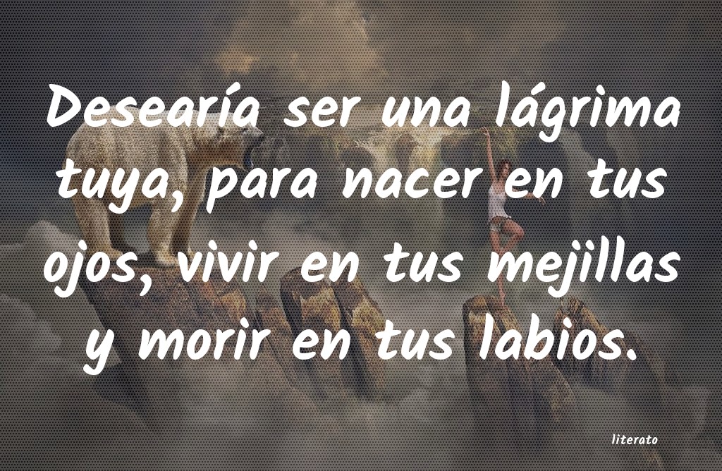 frases