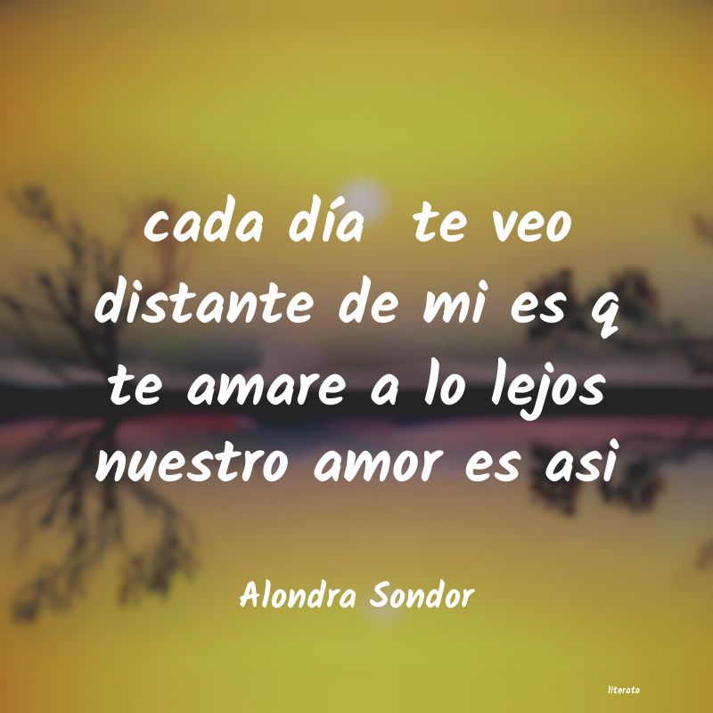 Frases de Alondra Sondor