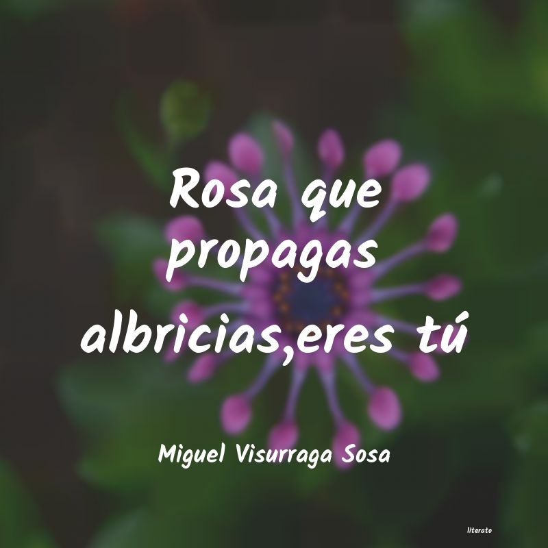 frases de Miguel Visurraga Sosa