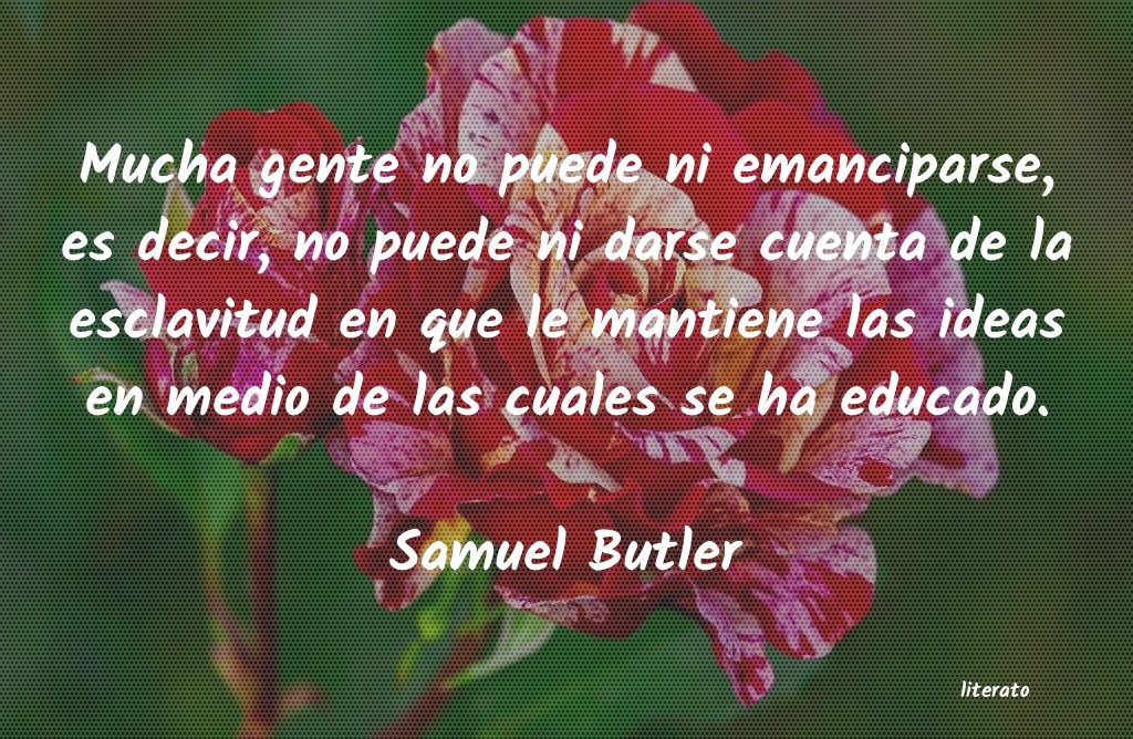 Frases de Samuel Butler