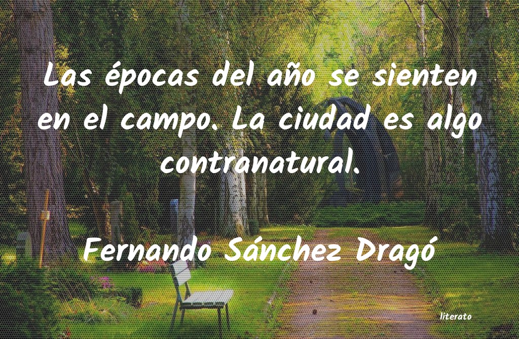 frases de Fernando Sánchez Dragó