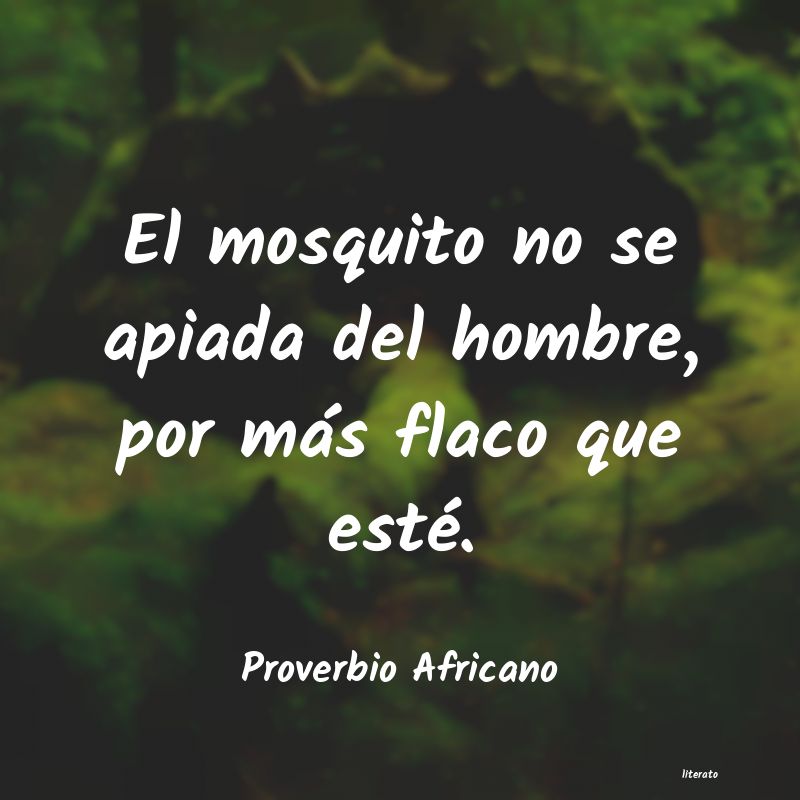 Frases de Proverbio Africano