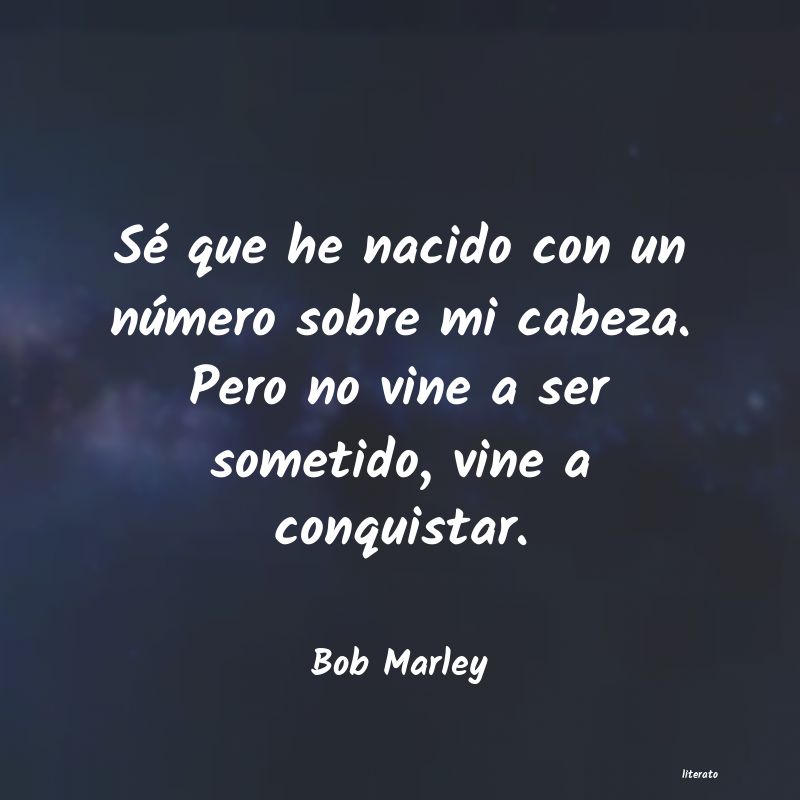 frases cortas de bob marley