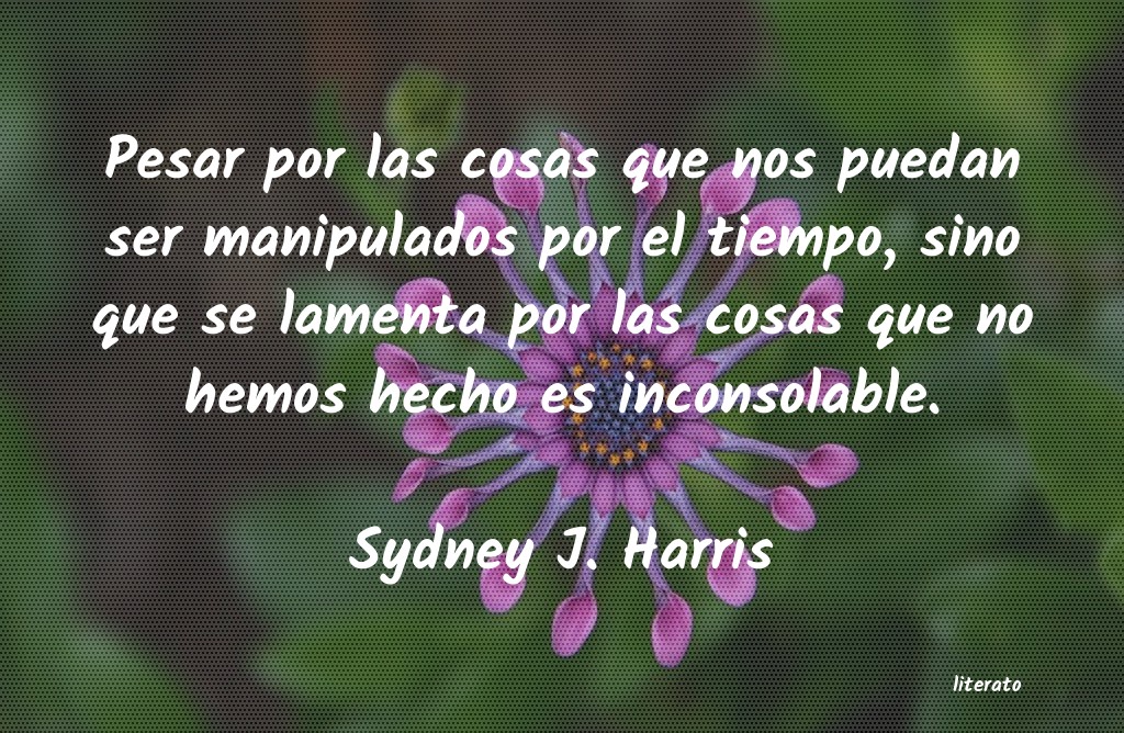 frases de Sydney J. Harris