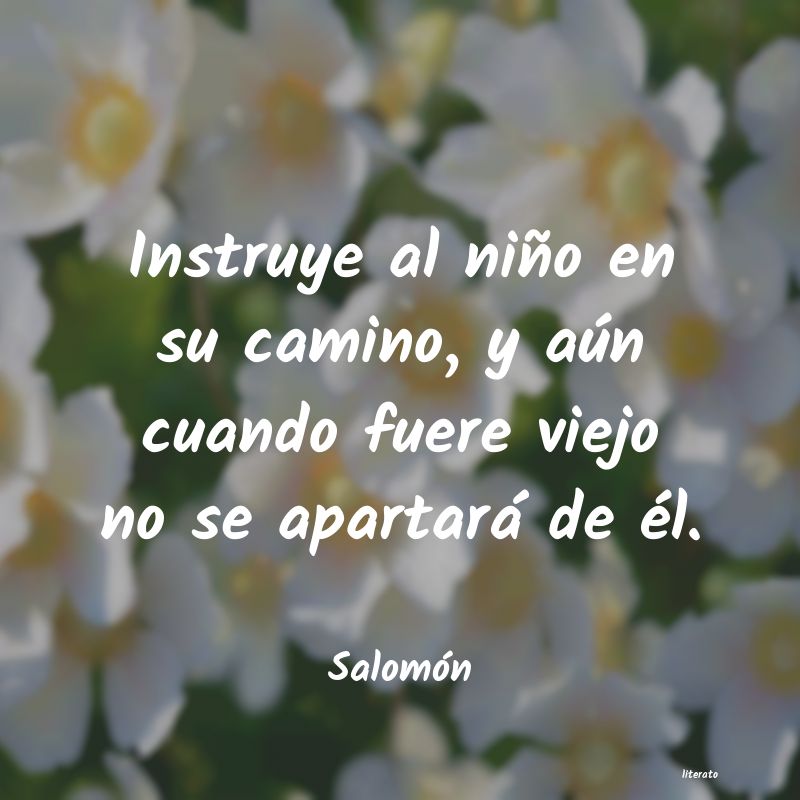 frases de Salomón