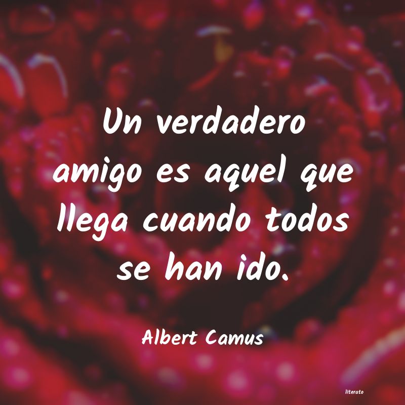 Frases de Albert Camus