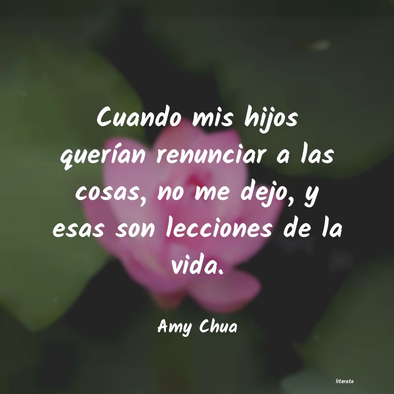 frases de Amy Chua