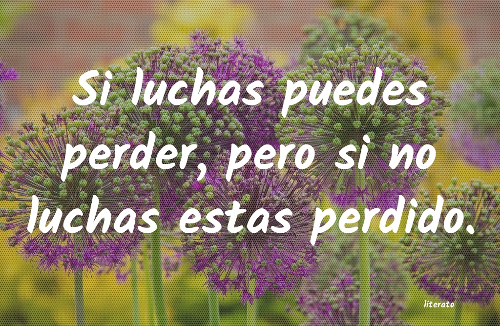 frases