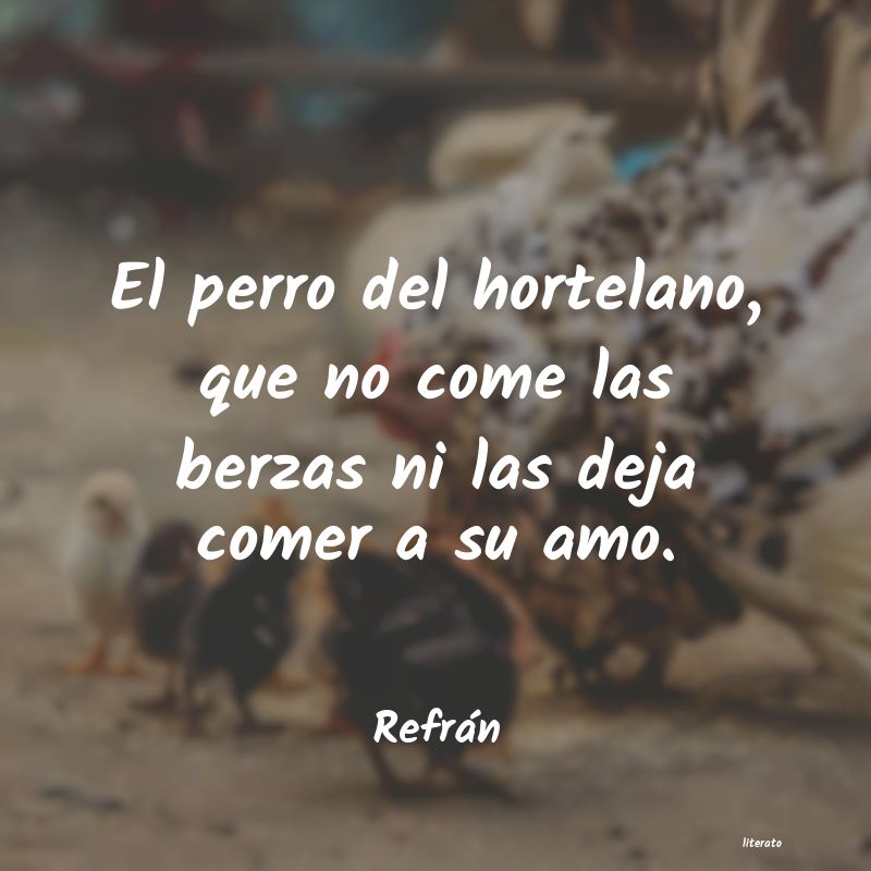 frases de Refrán