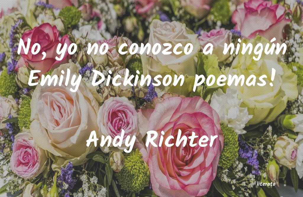 frases de Andy Richter