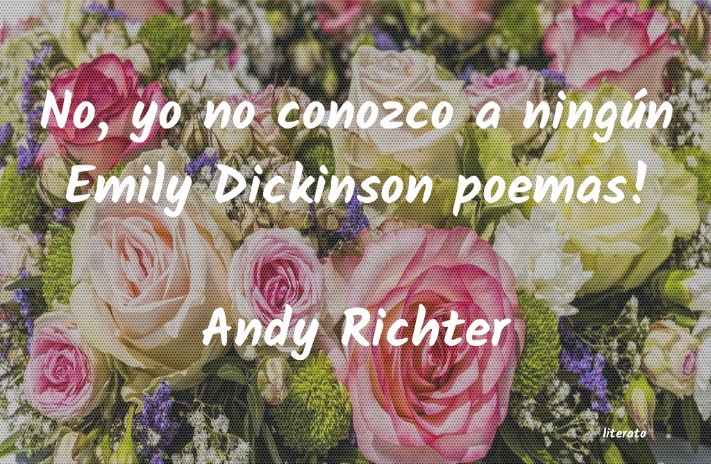 Frases de Andy Richter