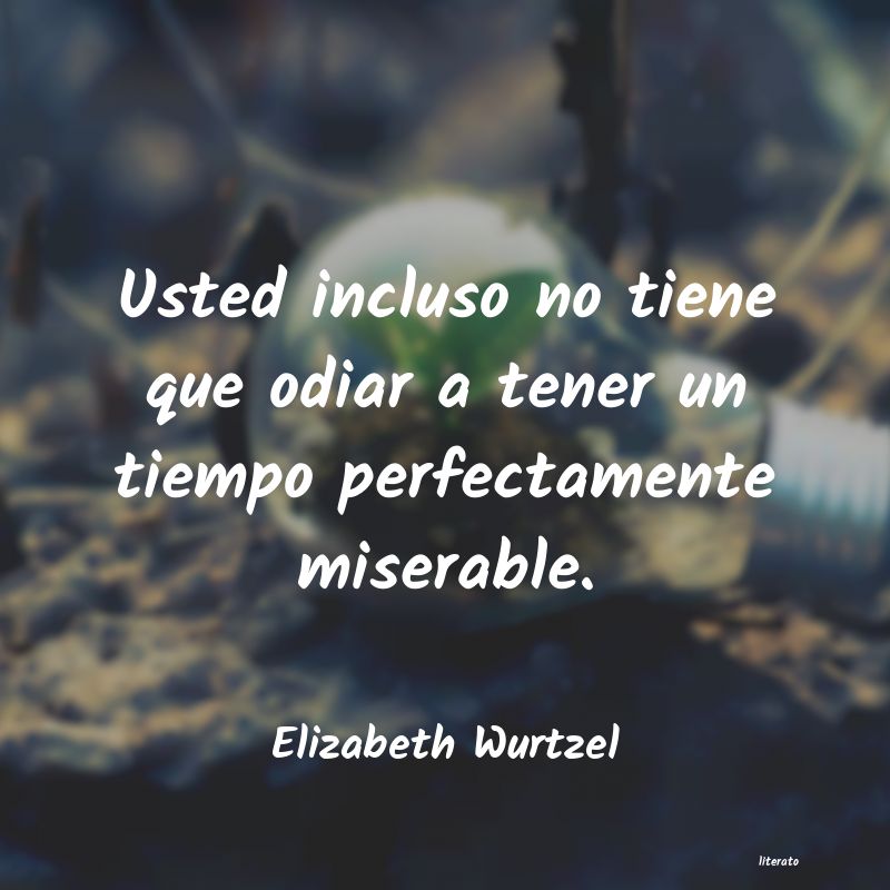 frases de Elizabeth Wurtzel