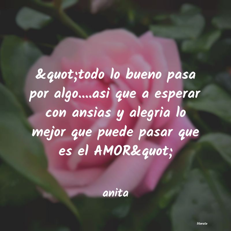 frases de anita