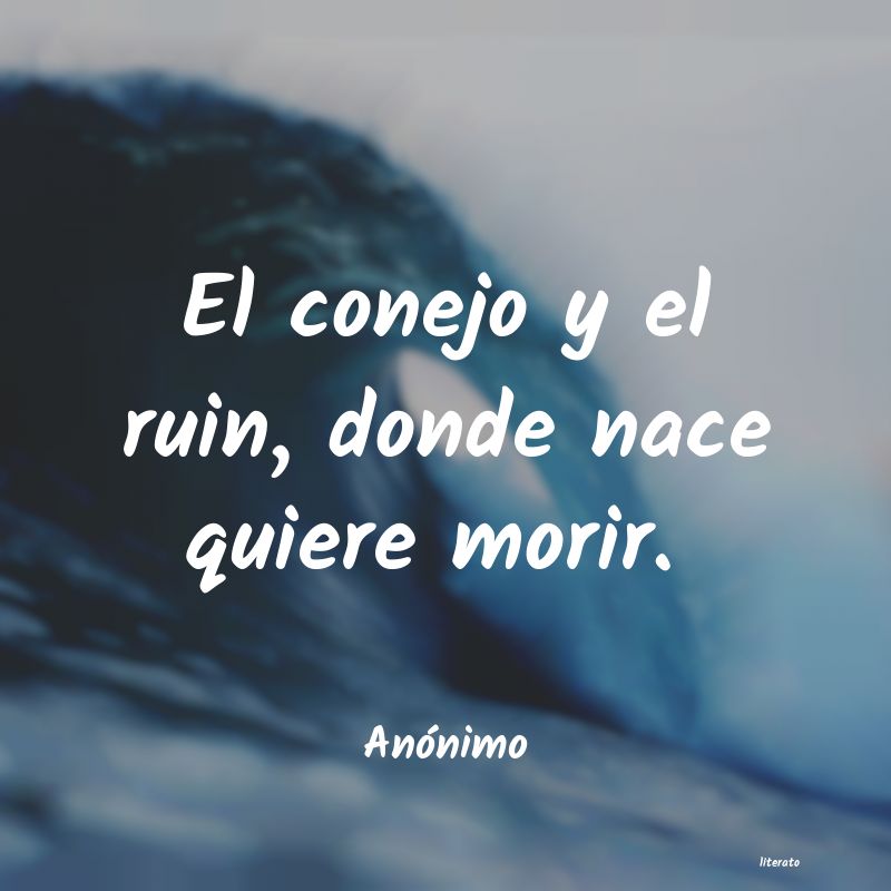 frases